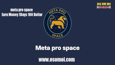 meta pro space