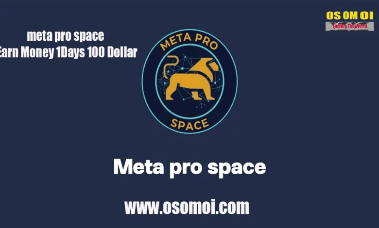 meta pro space