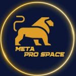 meta pro space