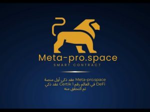 meta pro space