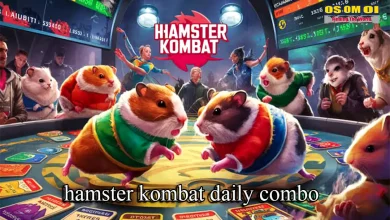 how to earn money hamster kombat